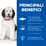 Hill's Science Plan Hypoallergenic Adult large (salmone)