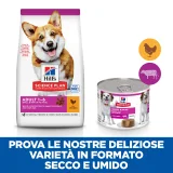 Hill's Science Plan Adult small & mini mousse al manzo