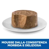 Hill's Science Plan Adult small & mini mousse al manzo