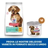 Hill's Science Plan Perfect Weight small & mini (tacchino)