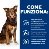 Hill's Prescription Diet Metabolic canine al manzo