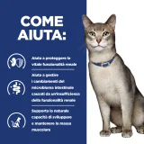 Hill's Prescription Diet k/d feline umido (spezzatino)